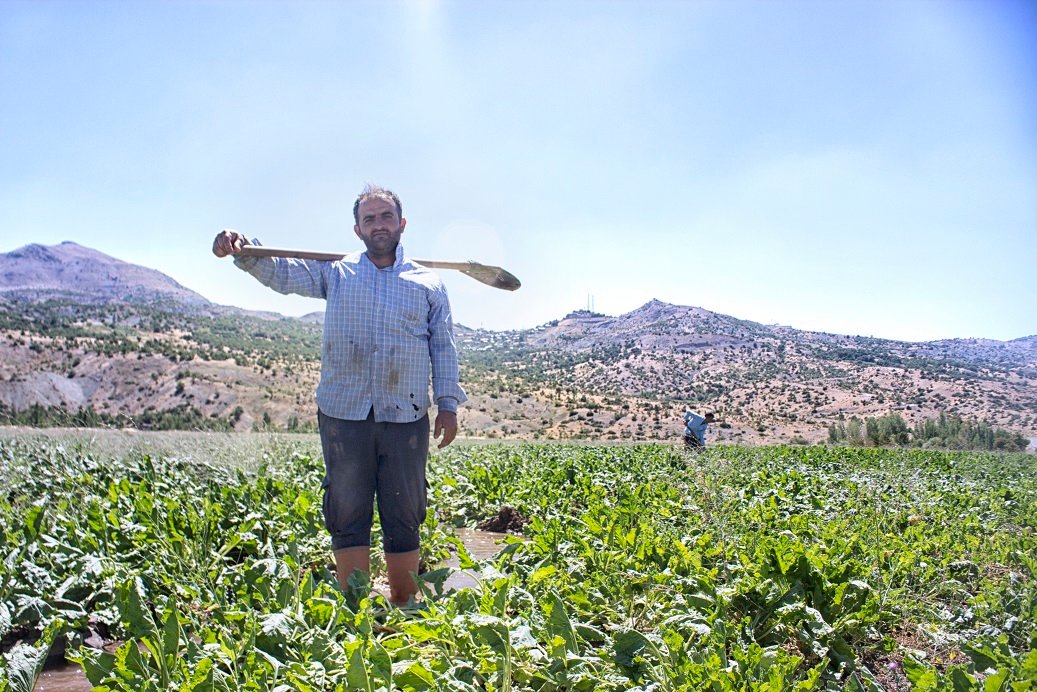 Kadim Alacakaya Yayla Yaşamı